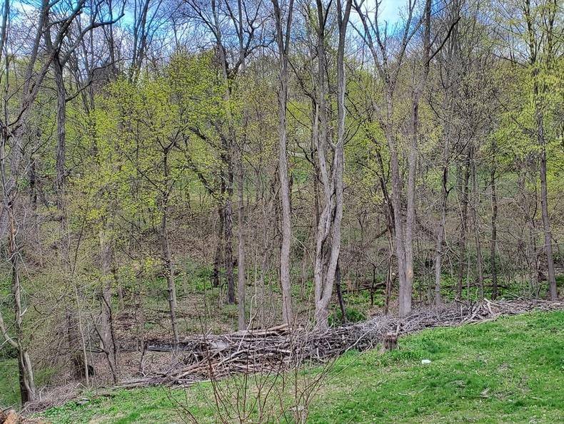 Poughkeepsie, NY 12603,45 Scenic Hills DR