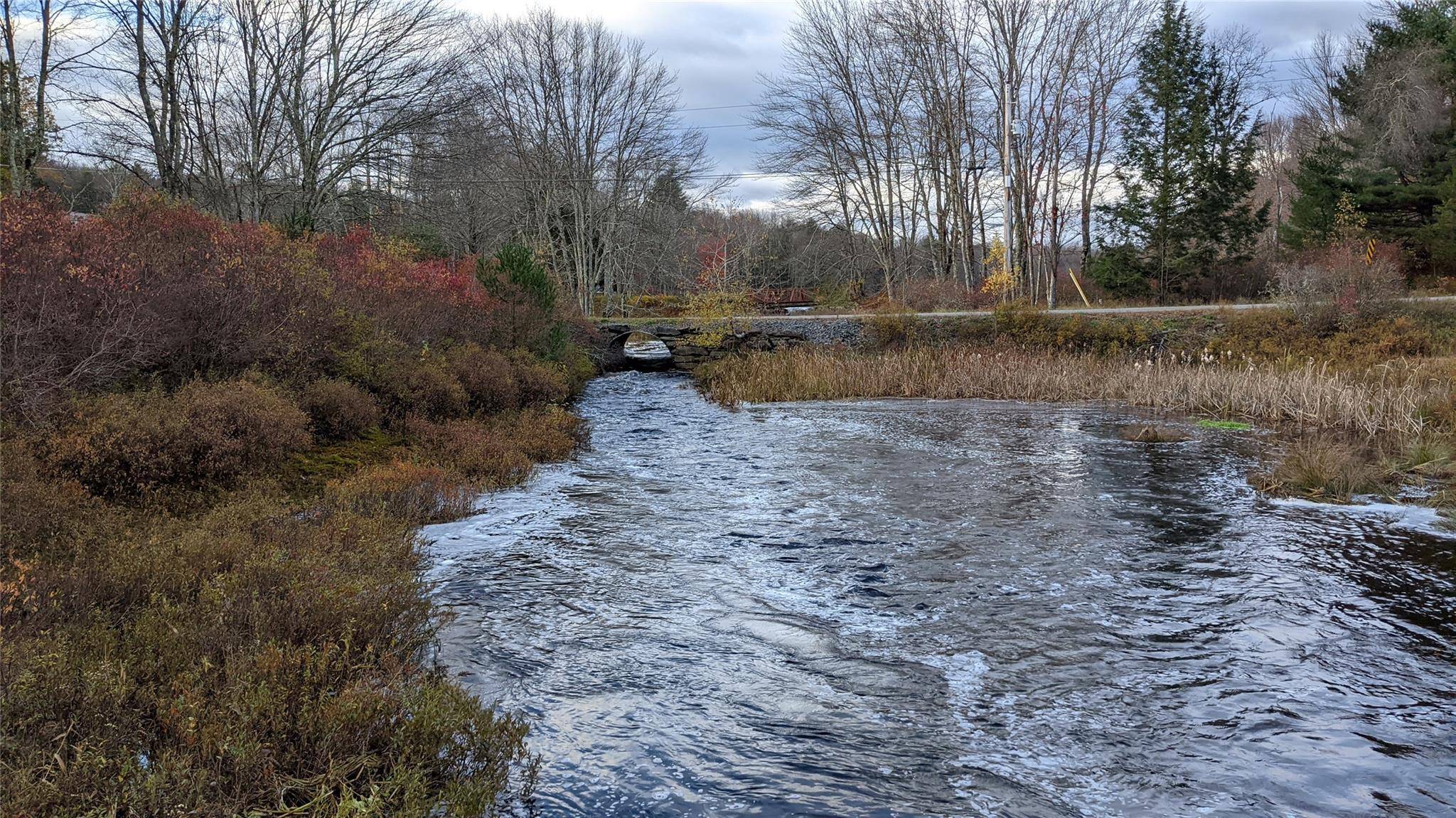 Swan Lake, NY 12783,John Bishop RD