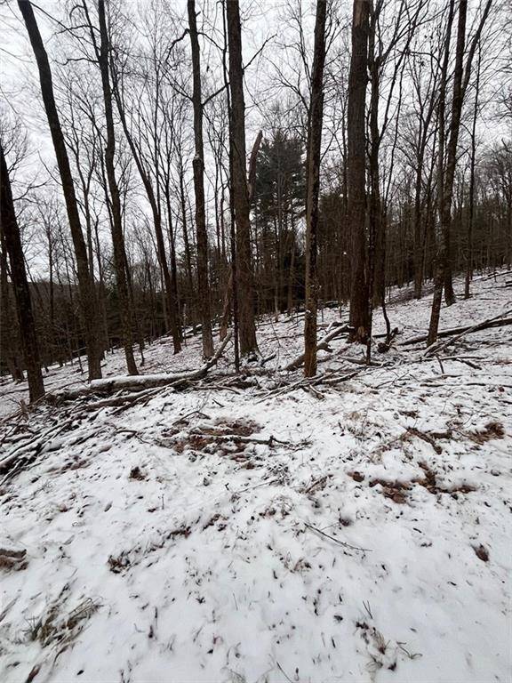 Bethel, NY 12720,Iroquois Trail Mohican TRL