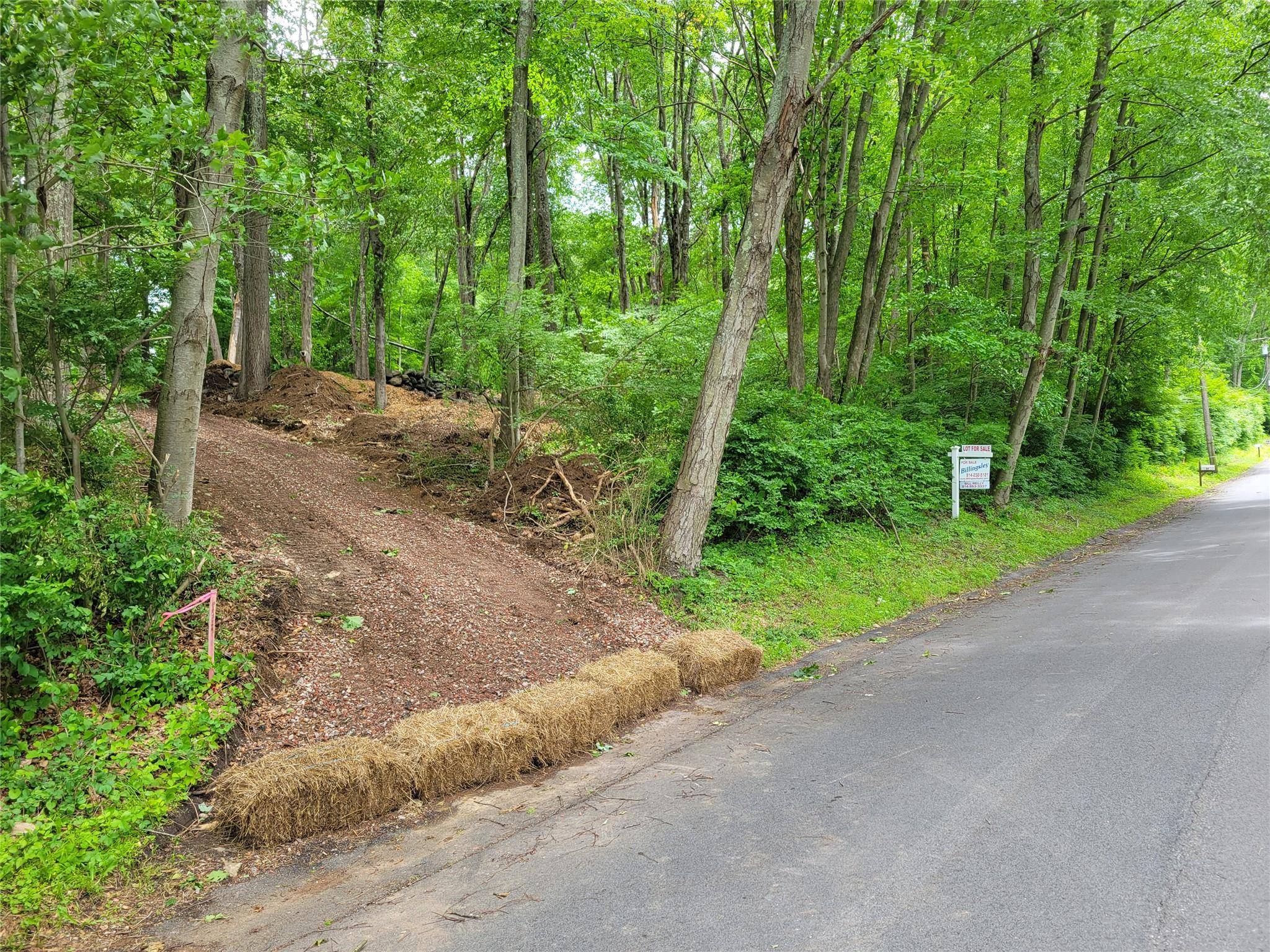 Somers, NY 10589,34 Carolyn WAY