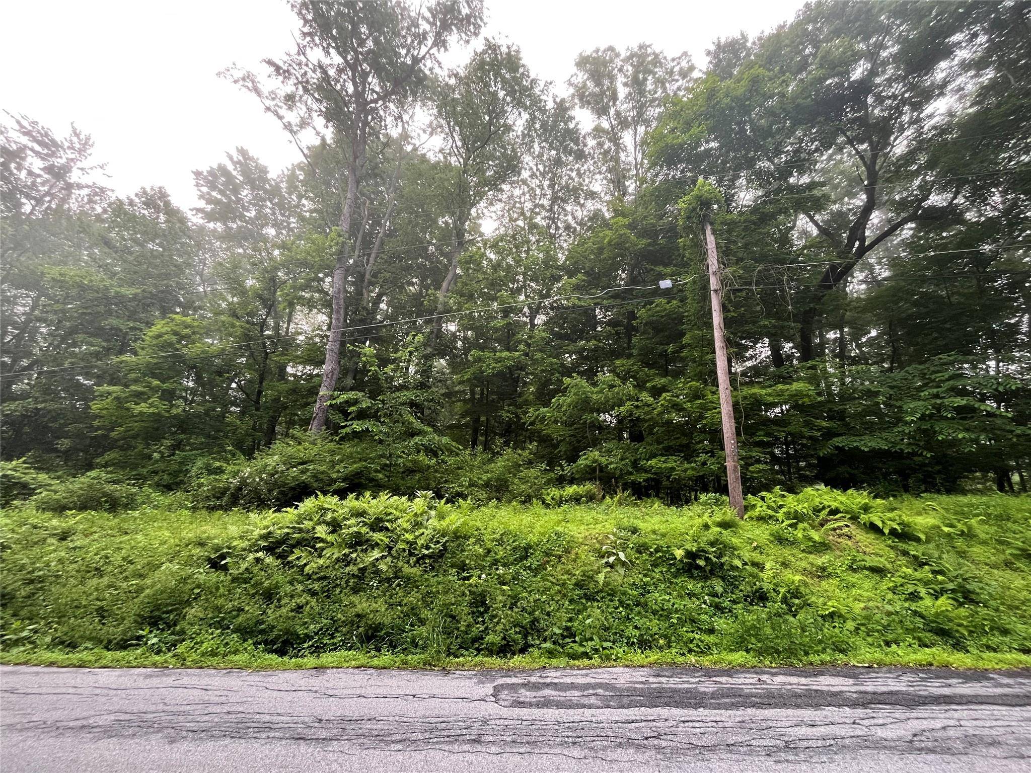 Pleasant Valley, NY 12569,Pine Hill RD
