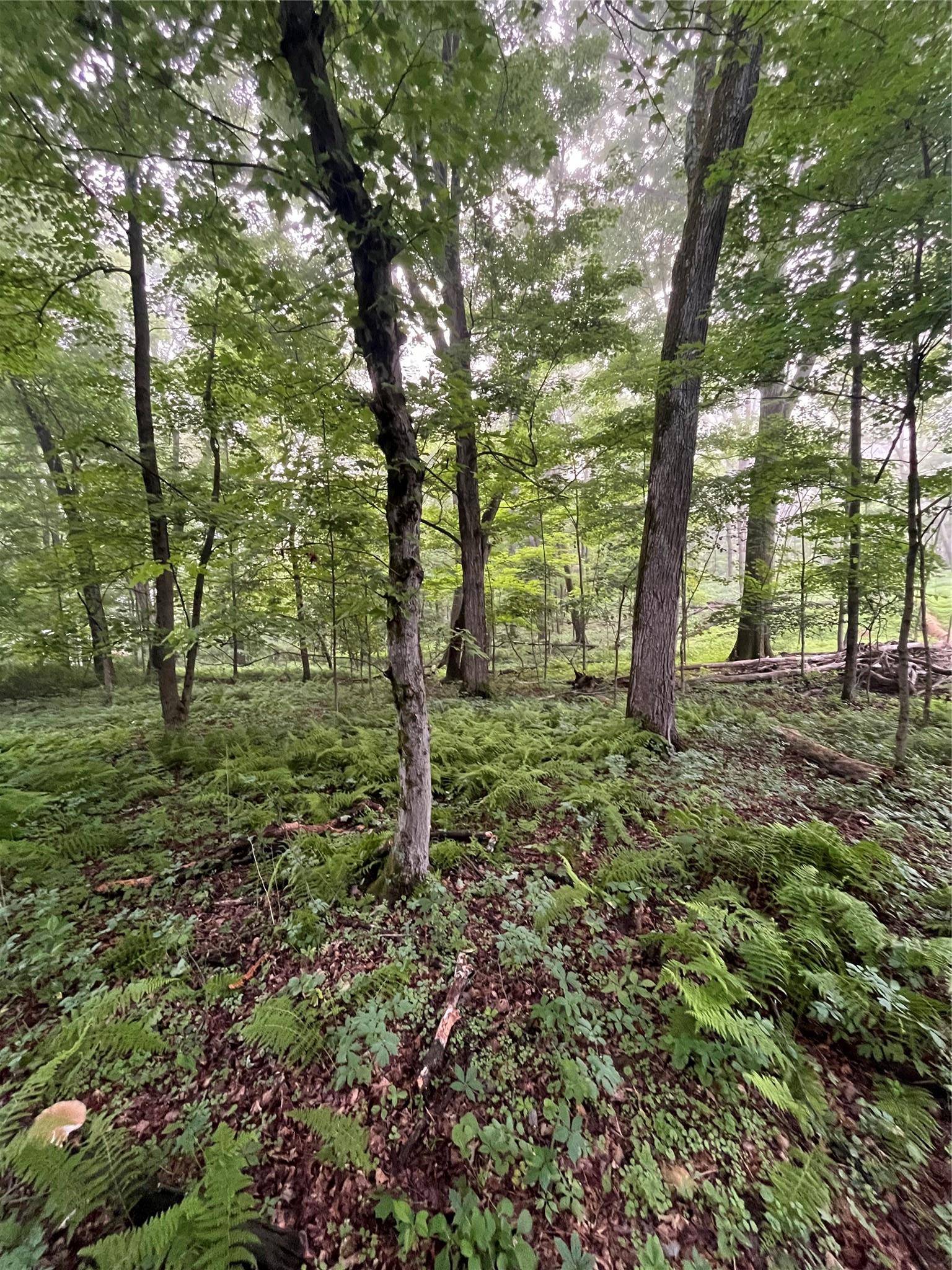 Pleasant Valley, NY 12569,Pine Hill RD