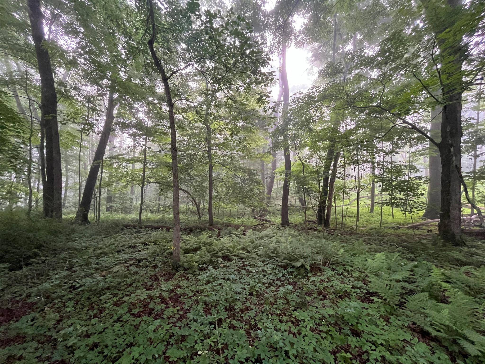 Pleasant Valley, NY 12569,Pine Hill RD