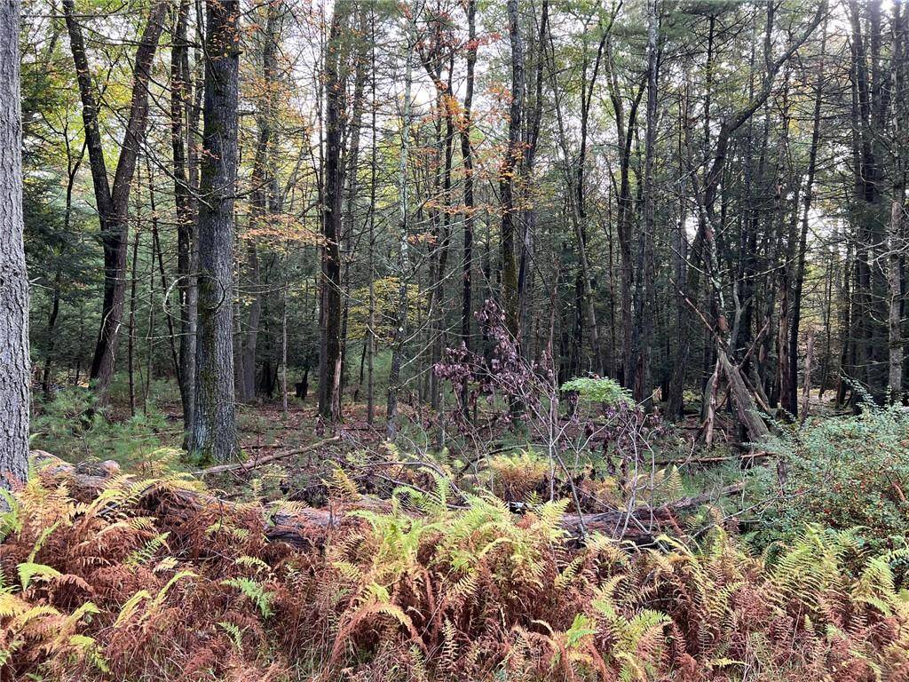 Eldred, NY,Barker Rd.