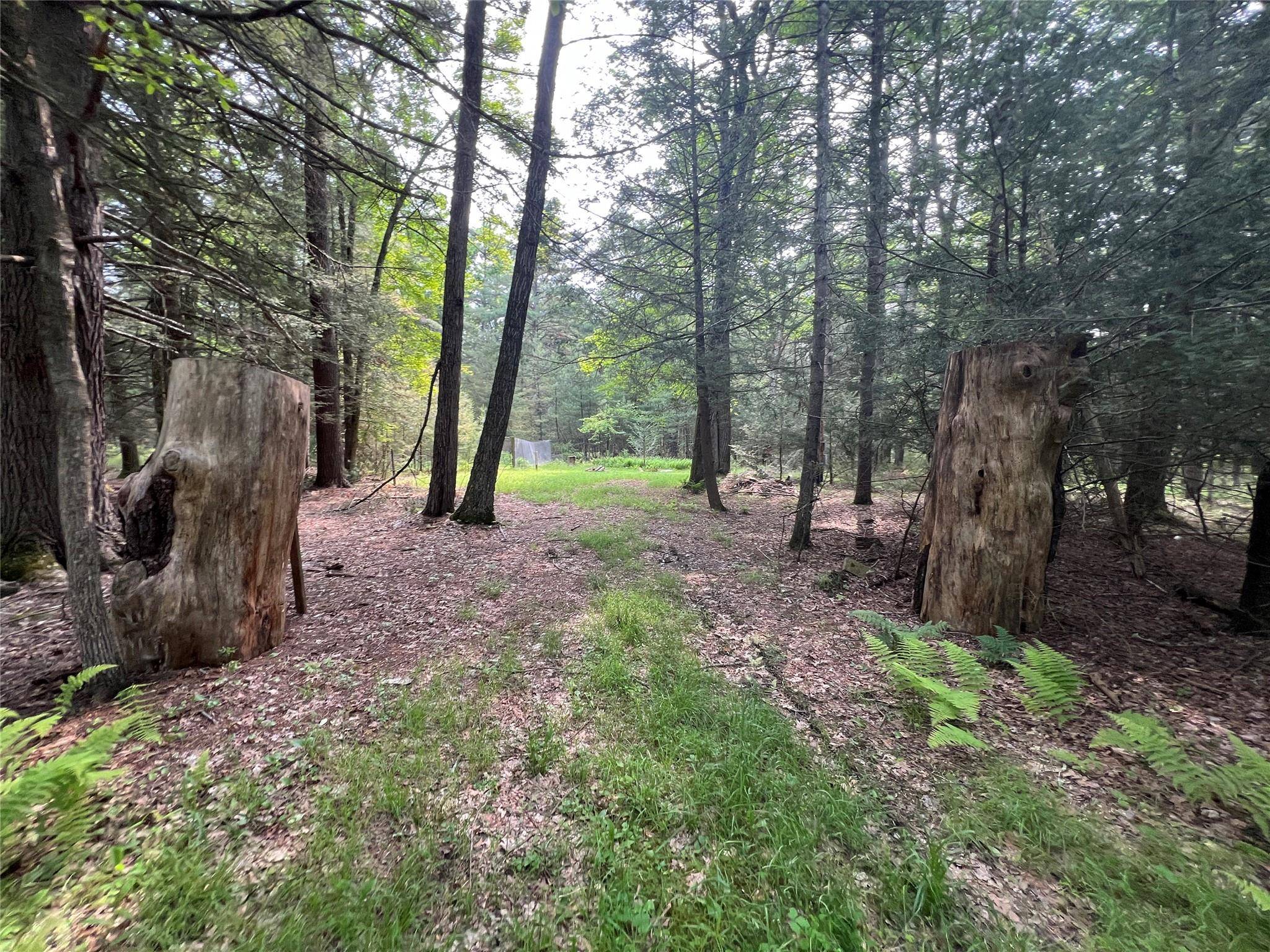 Eldred, NY,Barker Rd.