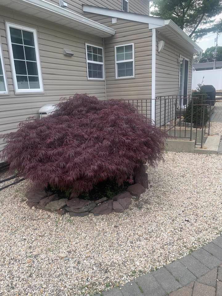 Ronkonkoma, NY 11779,235 Avenue B