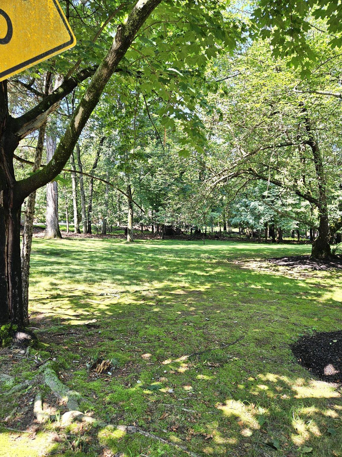 Monsey, NY 10952,5 Sophia ST