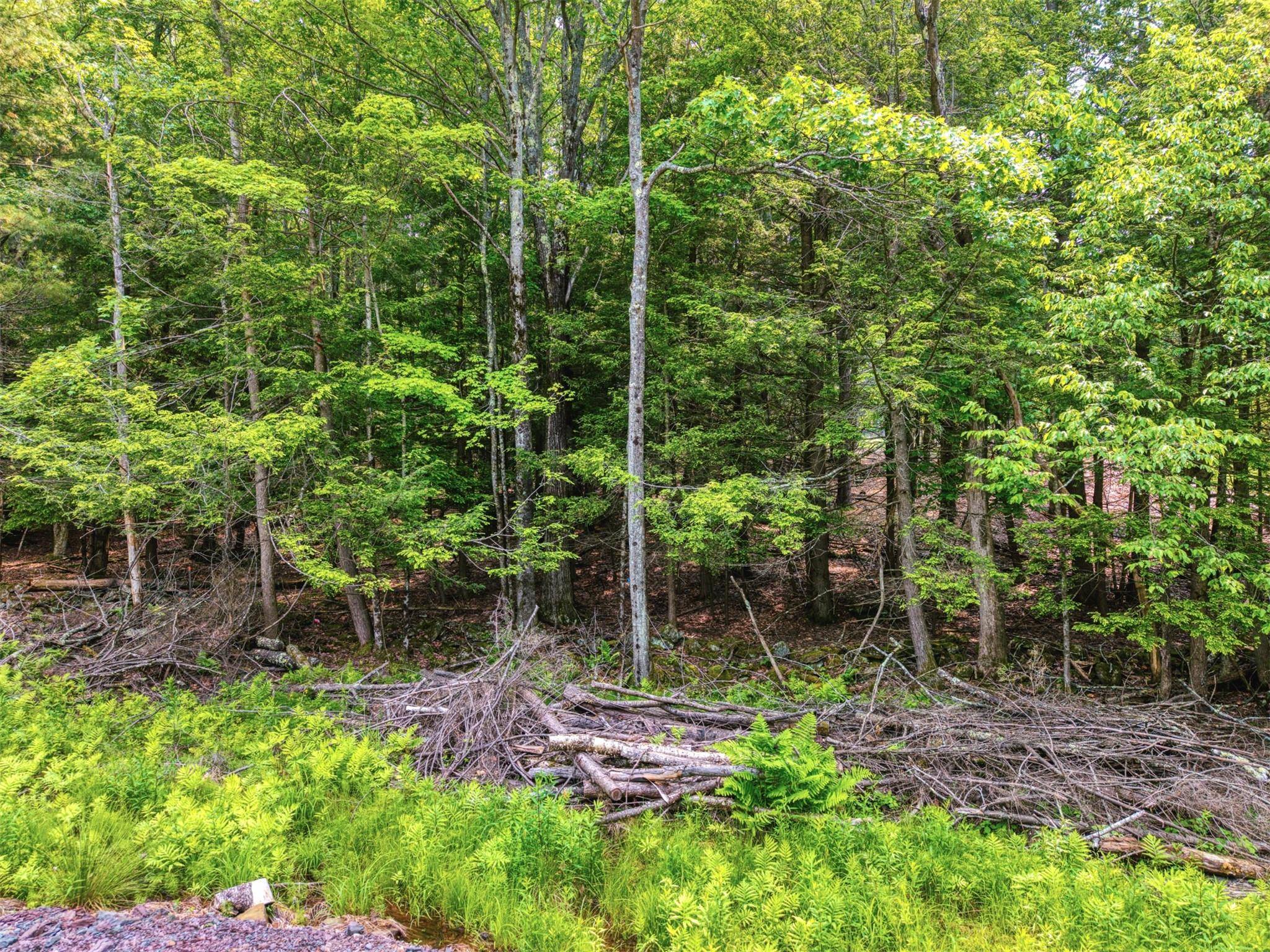 Windham, NY 12496,TBD Boulder Brook lot B14 RD