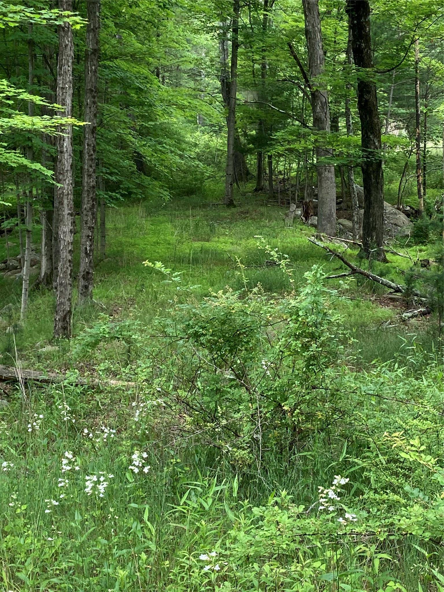Wallkill, NY 12566,287 Church RD