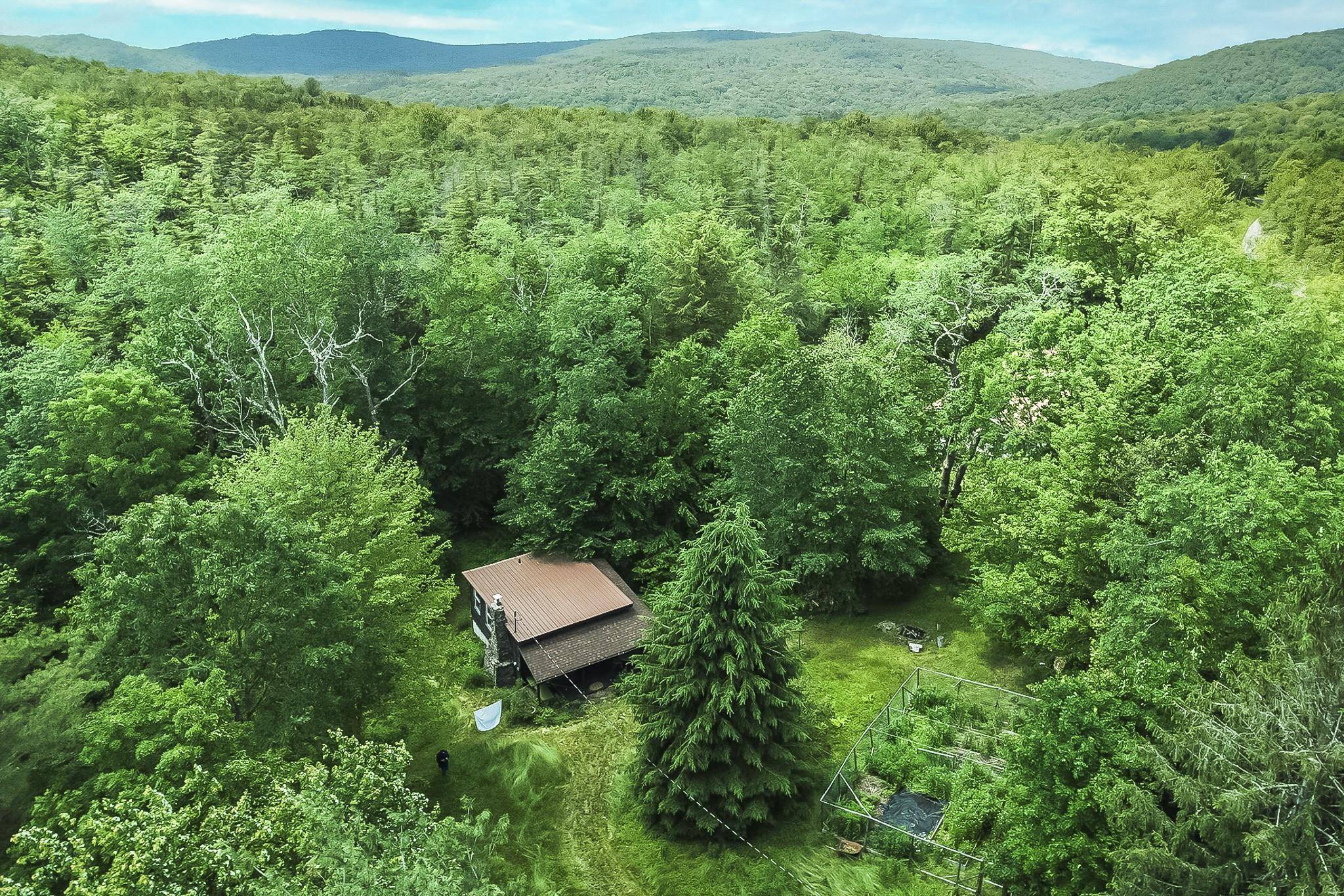 Roscoe, NY 12776,2567 Morton Hill RD