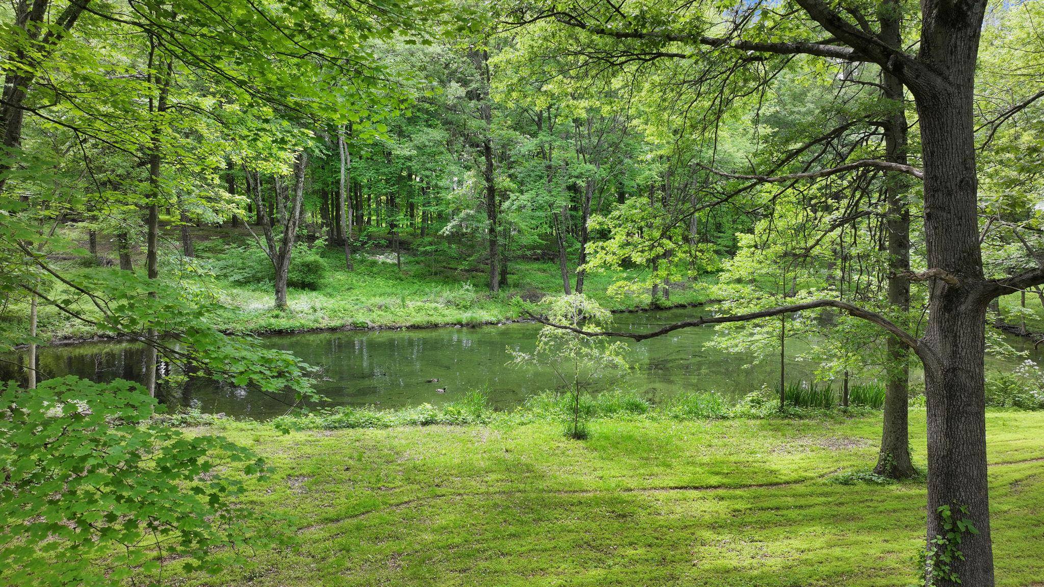 Walden, NY 12586,163 Berea RD