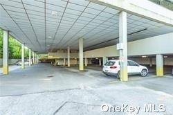 Great Neck, NY 11023,233 E Shore RD #204