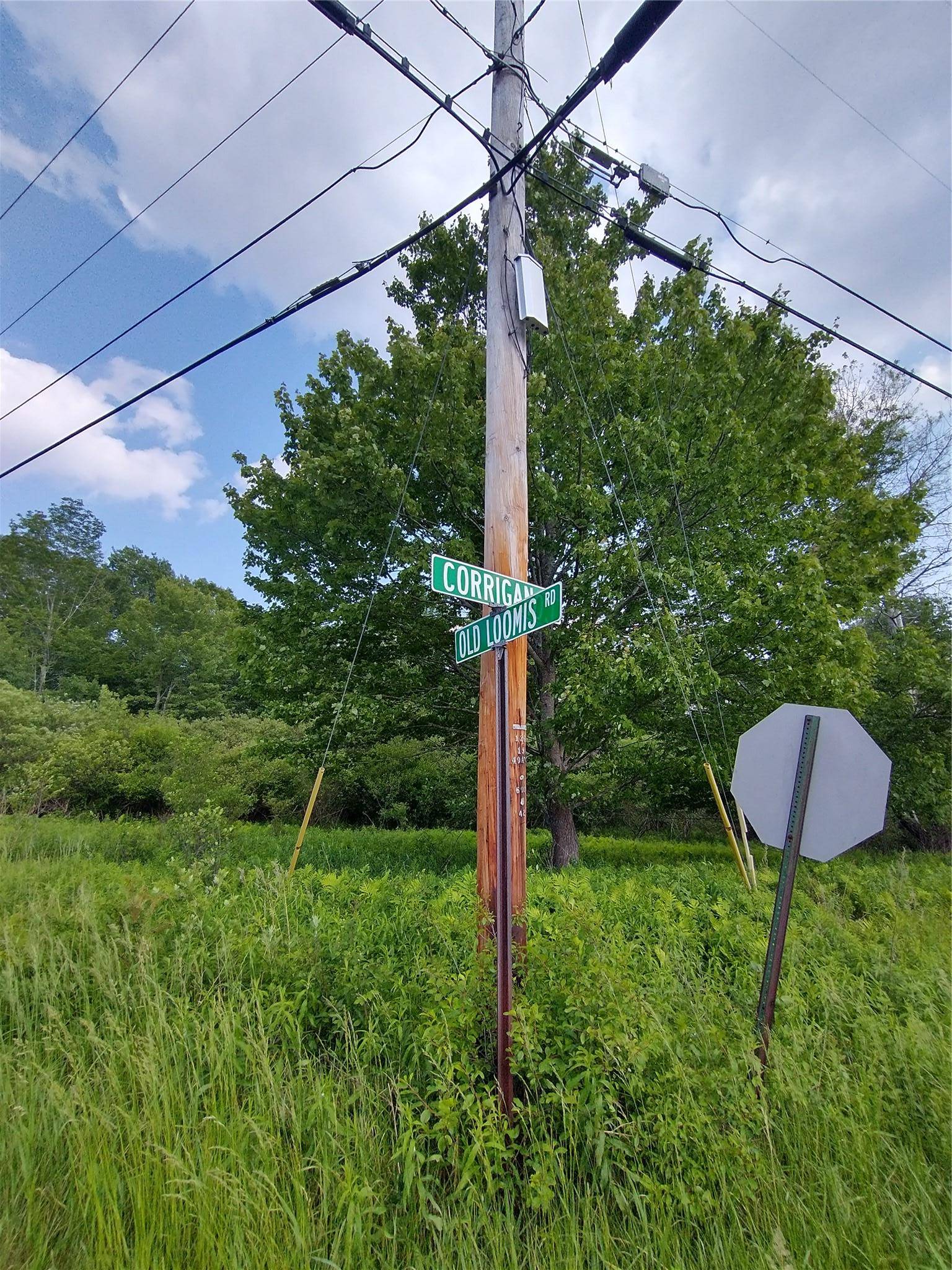 Liberty, NY 12734,Old Loomis RD