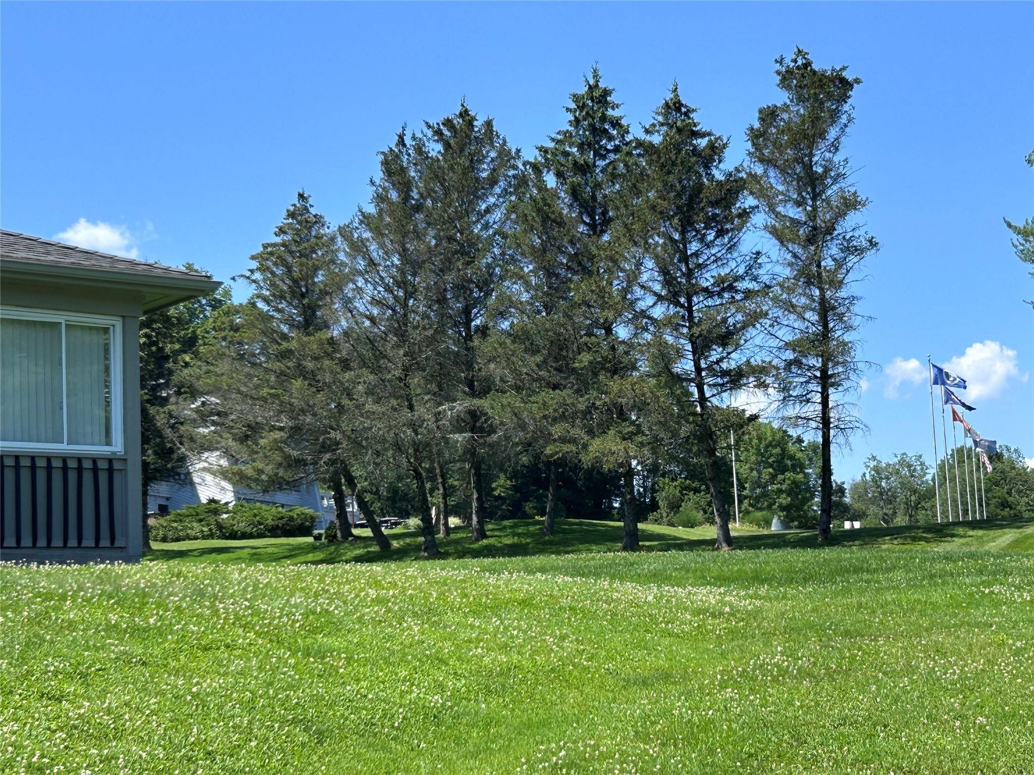 Callicoon, NY 12723,11 Joe D DR #11B