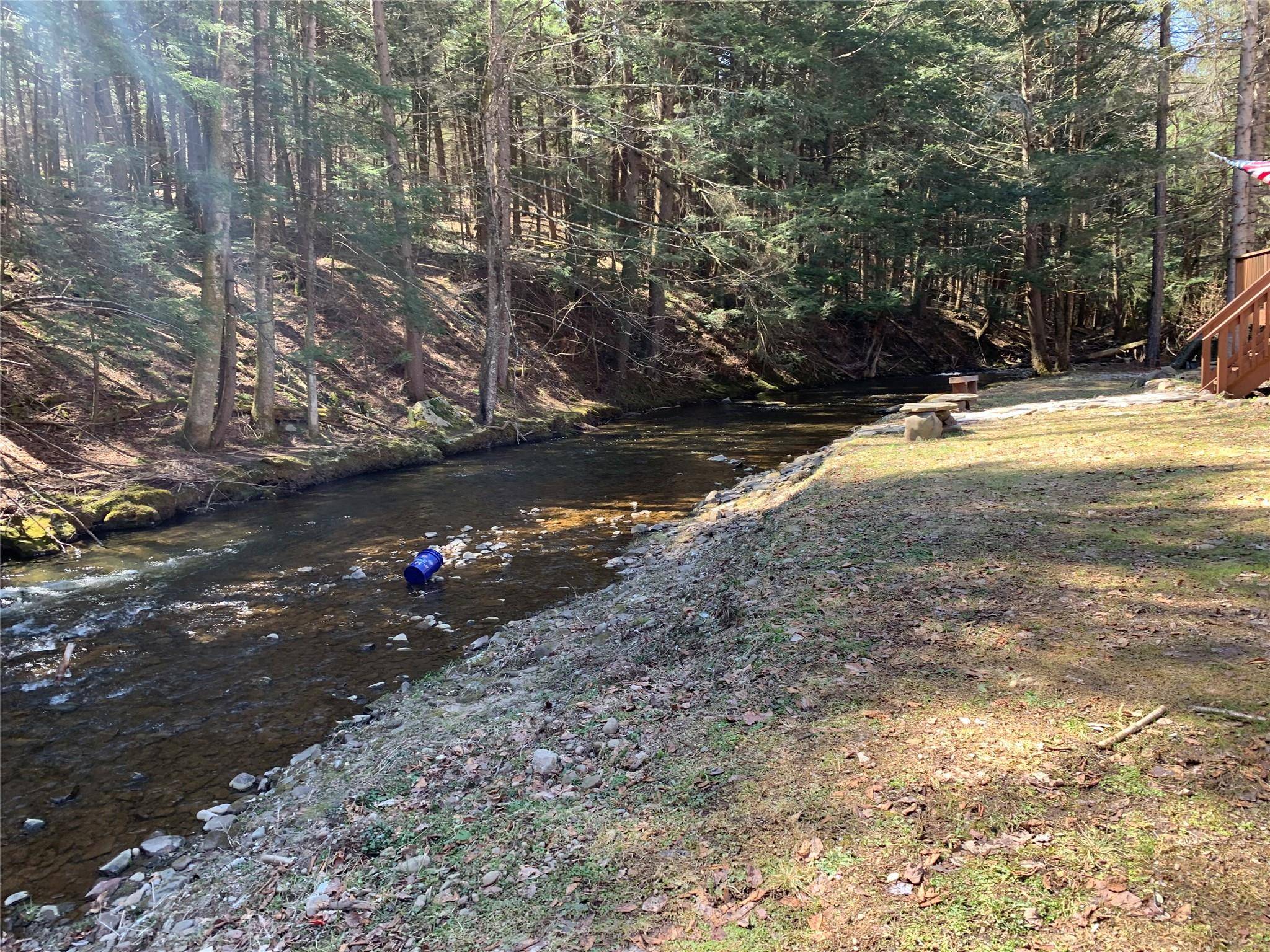 Long Eddy, NY 12760,604 Basket RD