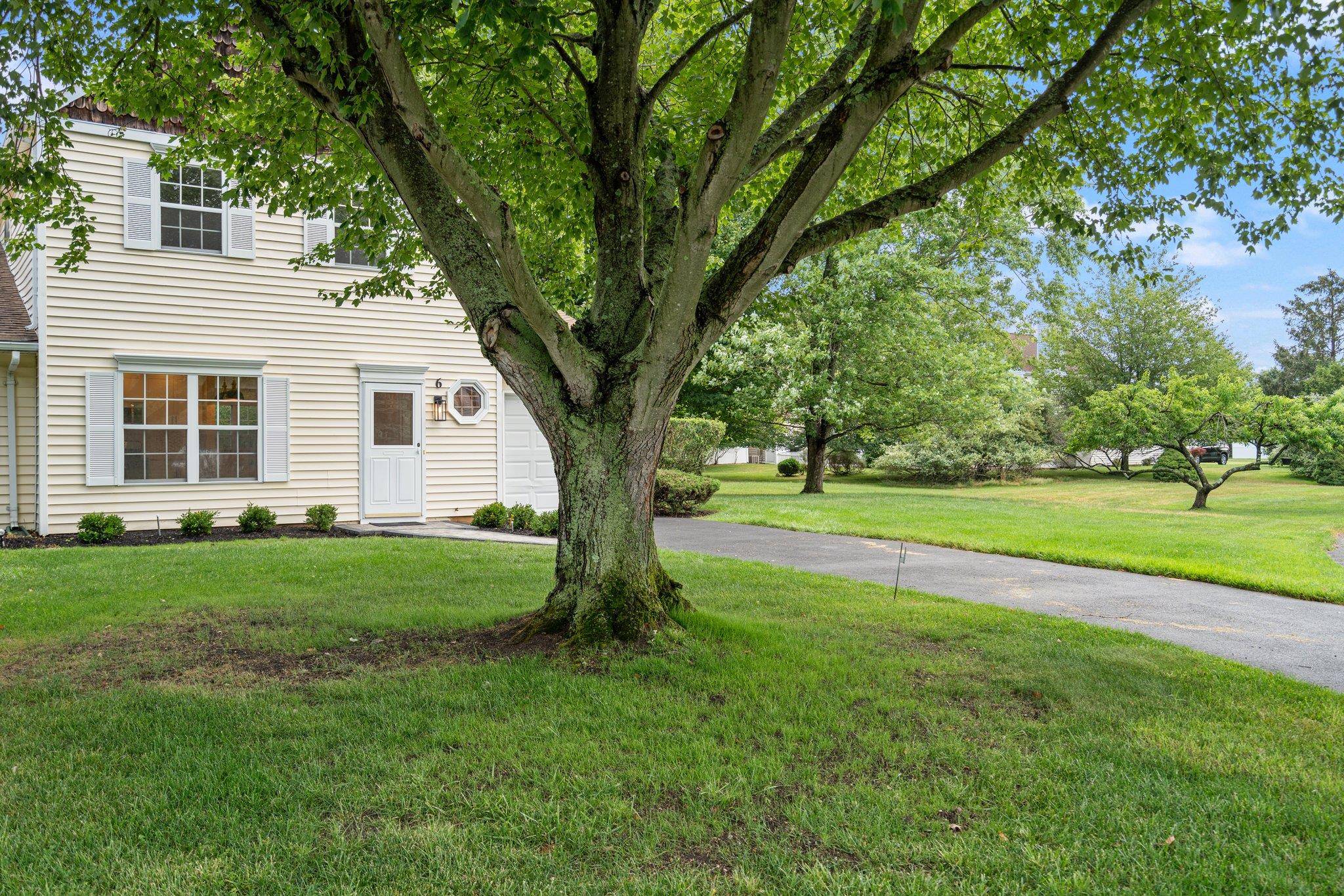 Coram, NY 11727,6 Doe PATH