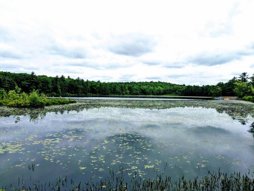 Glen Spey, NY 12737,Lot 9.1 Elle DR
