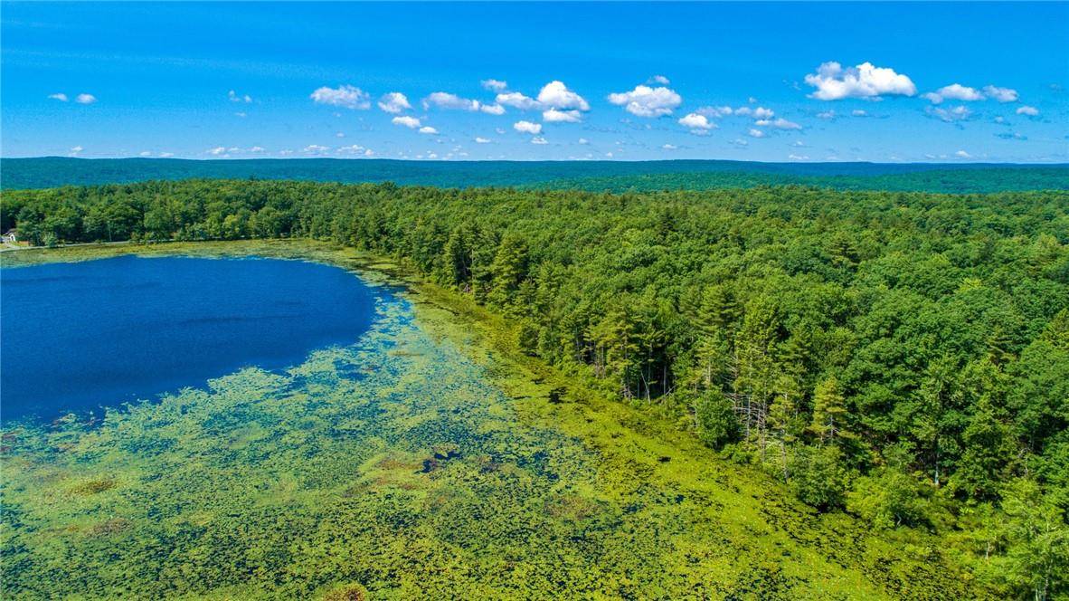 Glen Spey, NY 12737,Lot9.6/7/8/9/10/11/12/13+ Elle DR