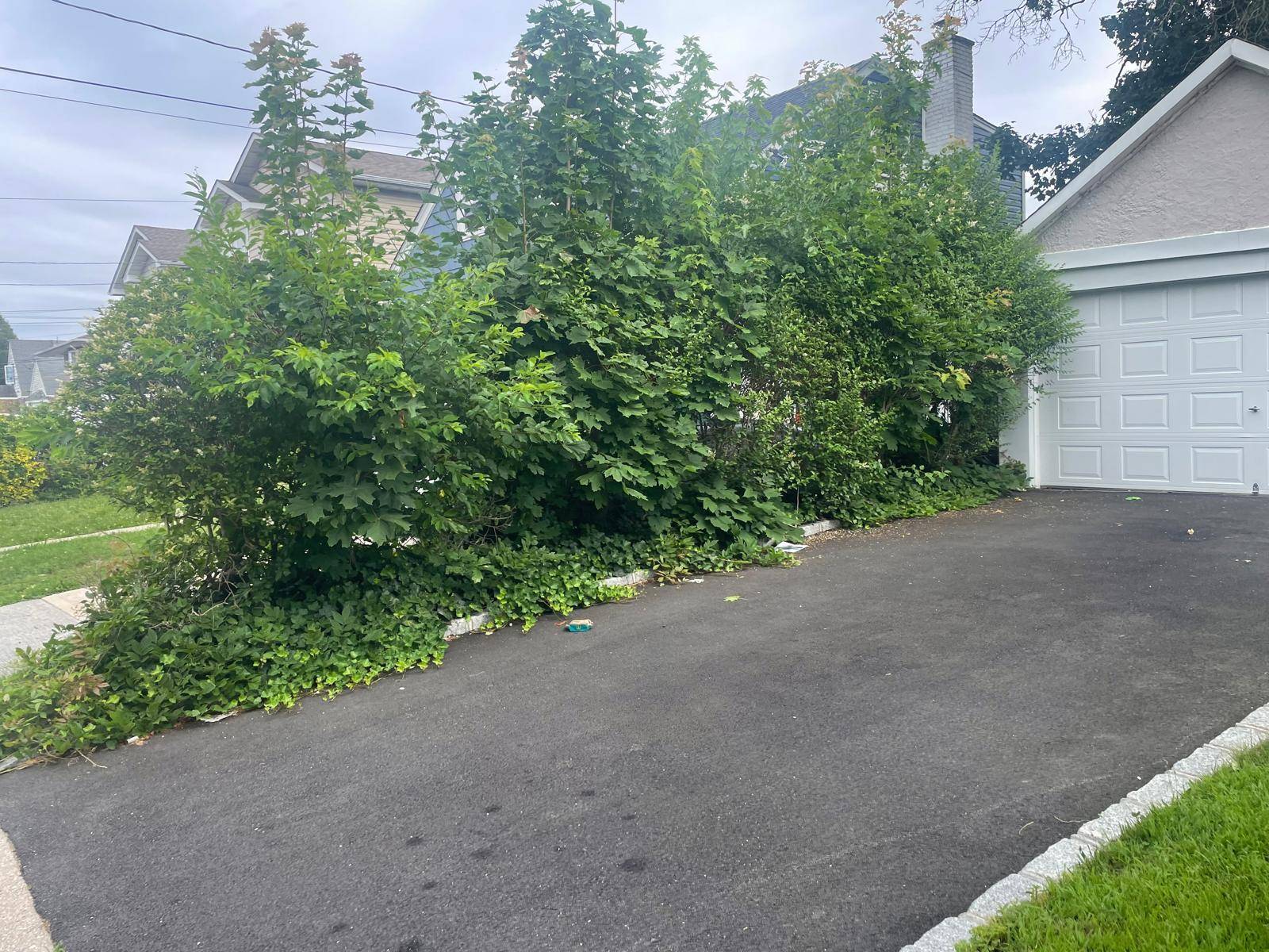 Hempstead, NY 11550,44 Nassau Pkwy