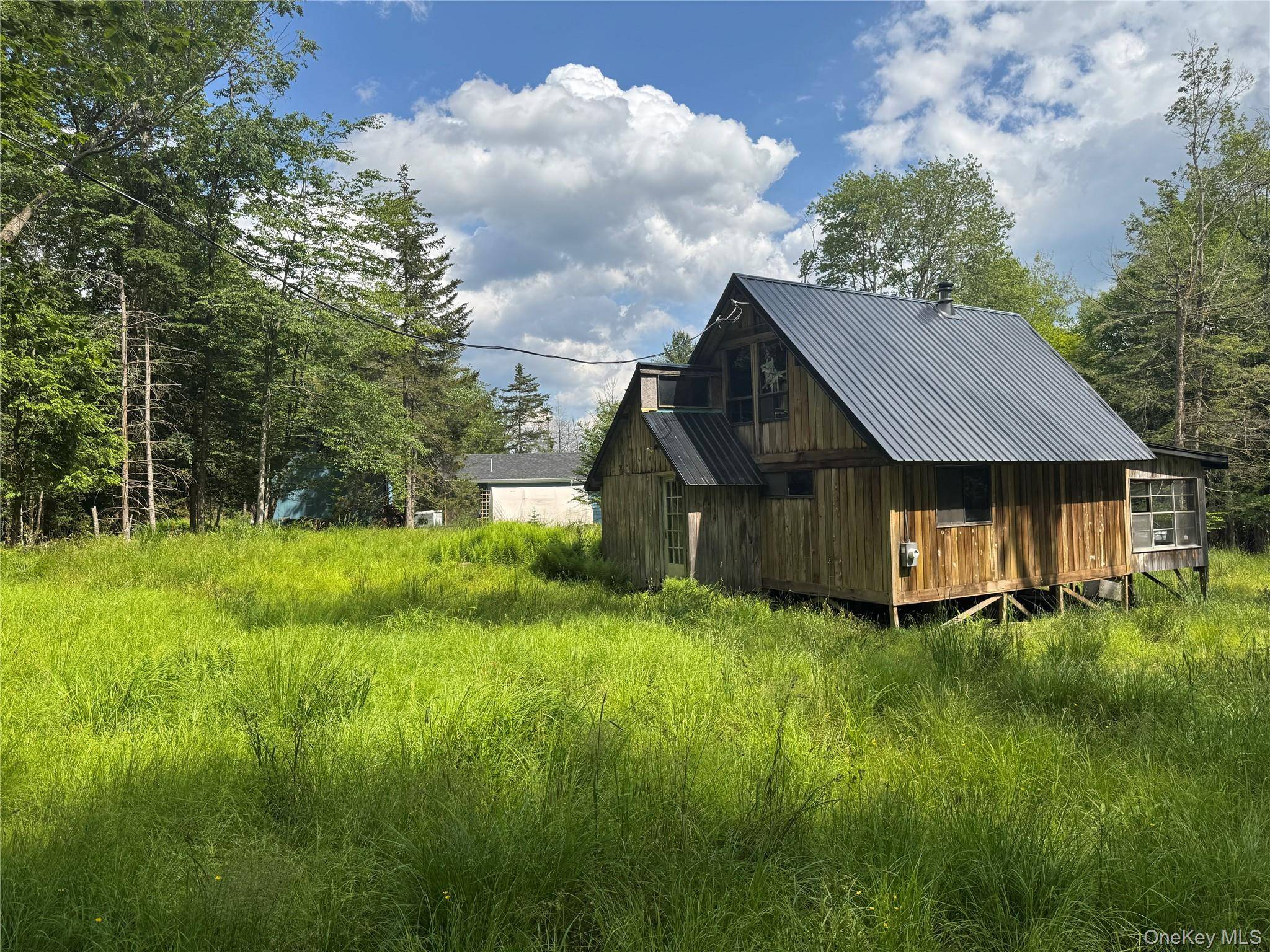 Parksville, NY 12768,2 W Forest LN