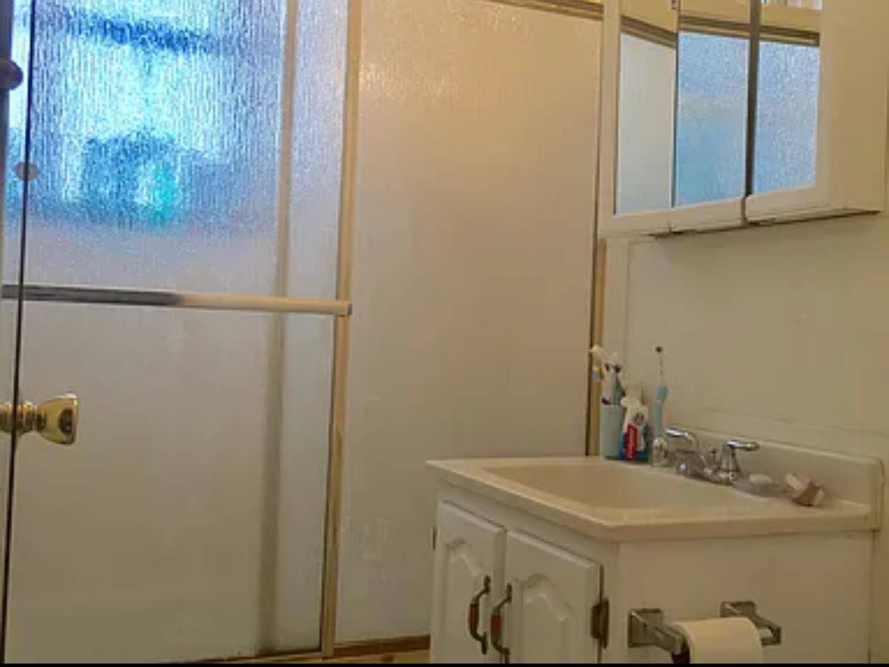 Rego Park, NY 11374,66-01 Burns #3V