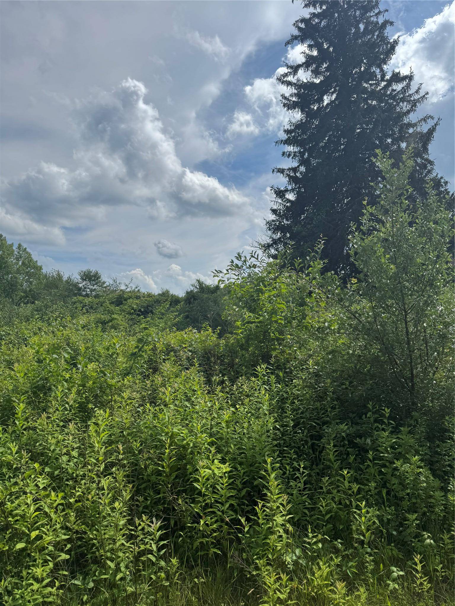 Putnam Valley, NY 10579,22 Living Springs LN