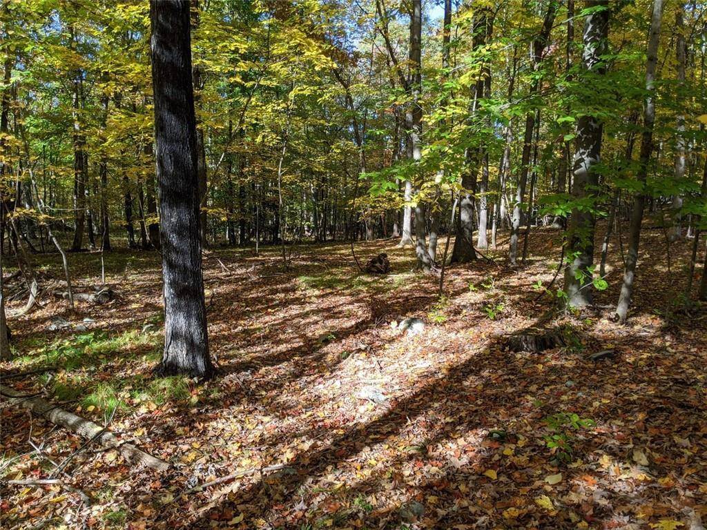 Pine Bush, NY 12566,TBD Searsville RD
