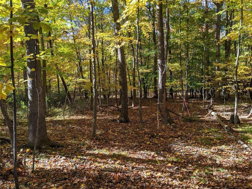 Pine Bush, NY 12566,TBD Searsville RD