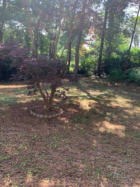 Farmingville, NY 11738,10 Pinedale AVE