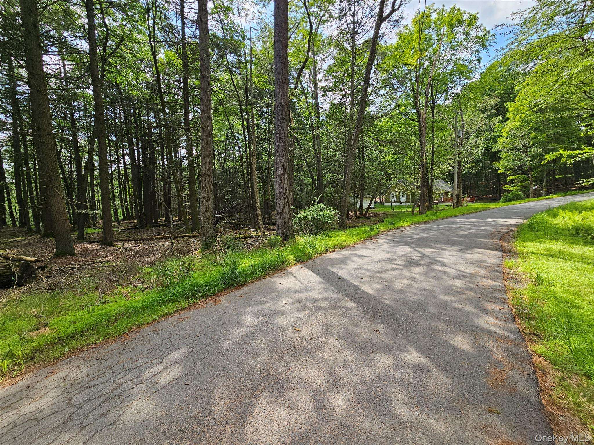 Smallwood, NY 12788,Highland AVE