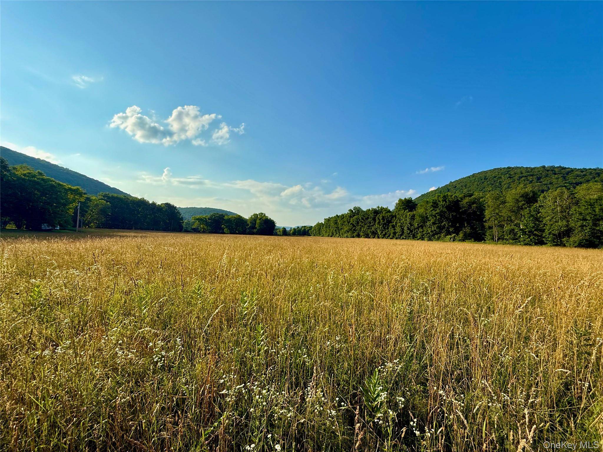 Hancock, NY 13783,222 Stockport RD