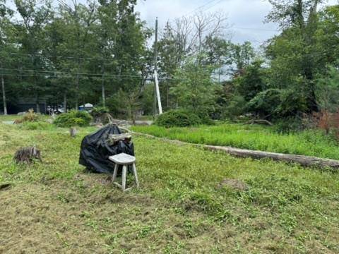 Glen Spey, NY 12737,69 Minisink TRL