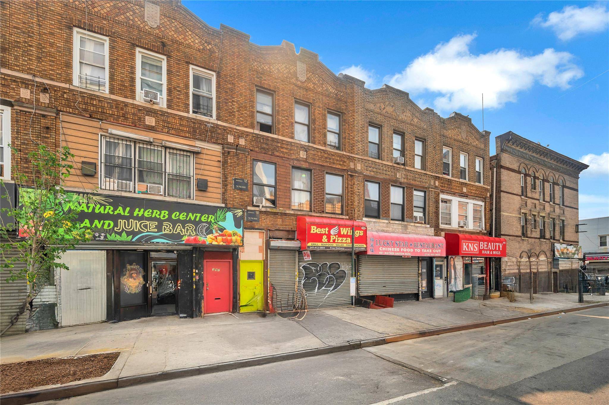 Brooklyn, NY 11212,399 Mother Gaston BLVD
