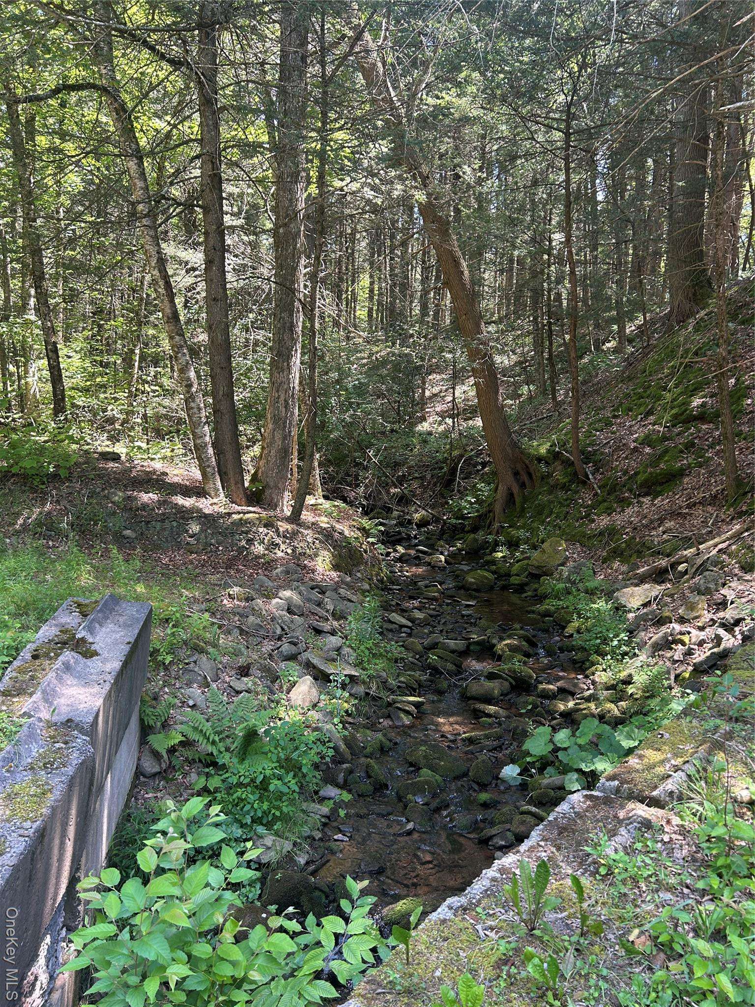 Parksville, NY 12768,TBD Ahrens RD