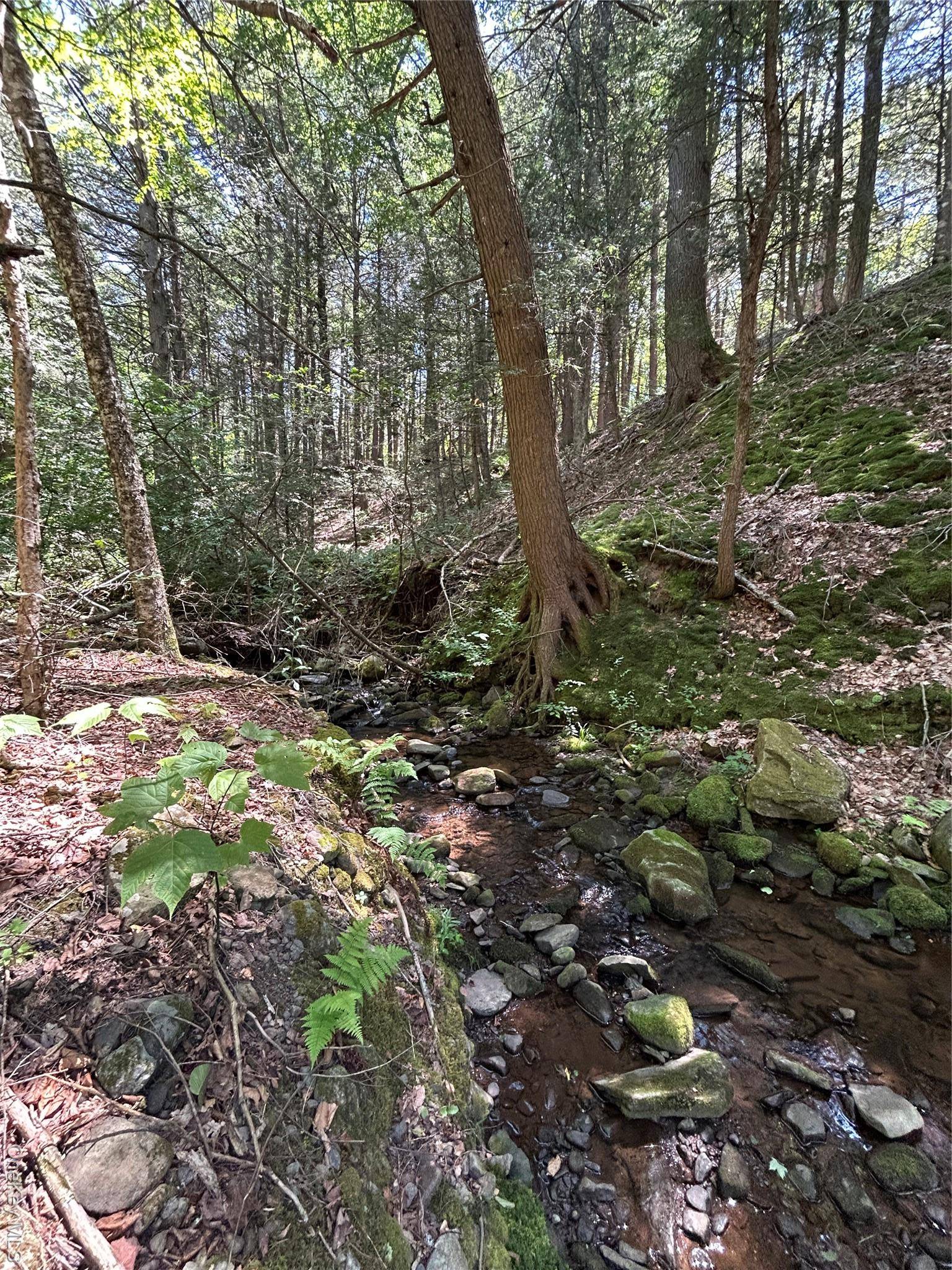 Parksville, NY 12768,TBD Ahrens RD