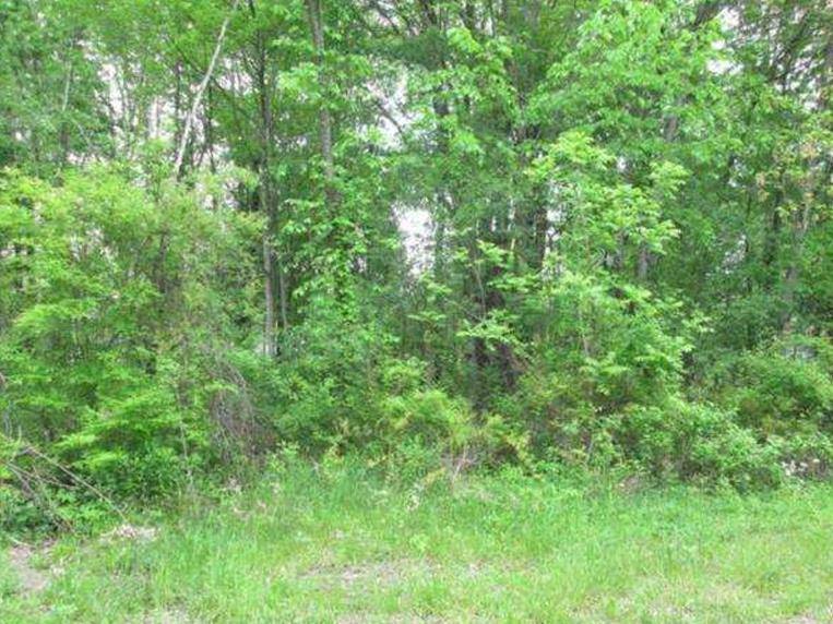 New Hampton, NY 10958,20 Elliott PL
