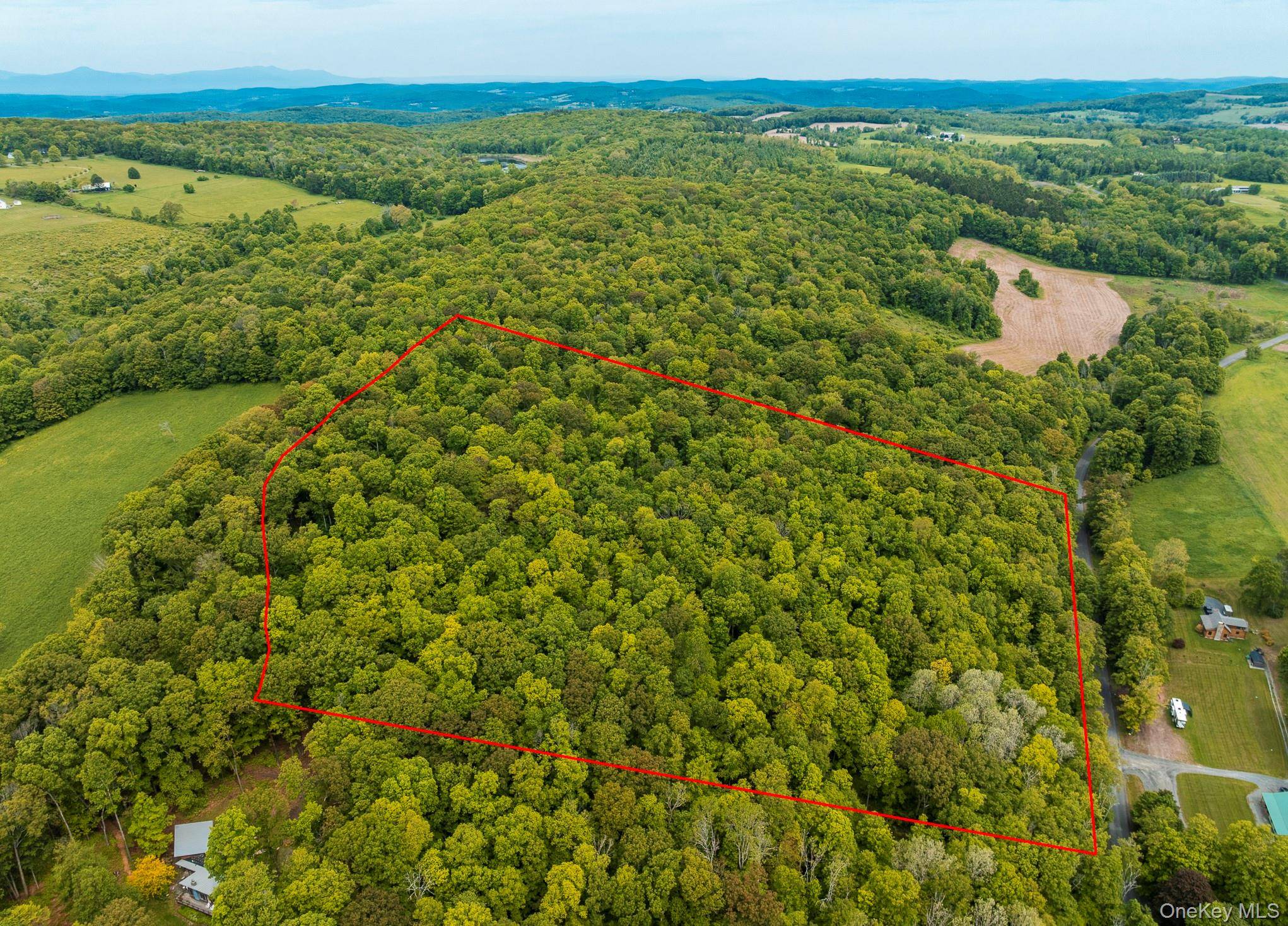 Millerton, NY 12546,A Skunks Misery RD