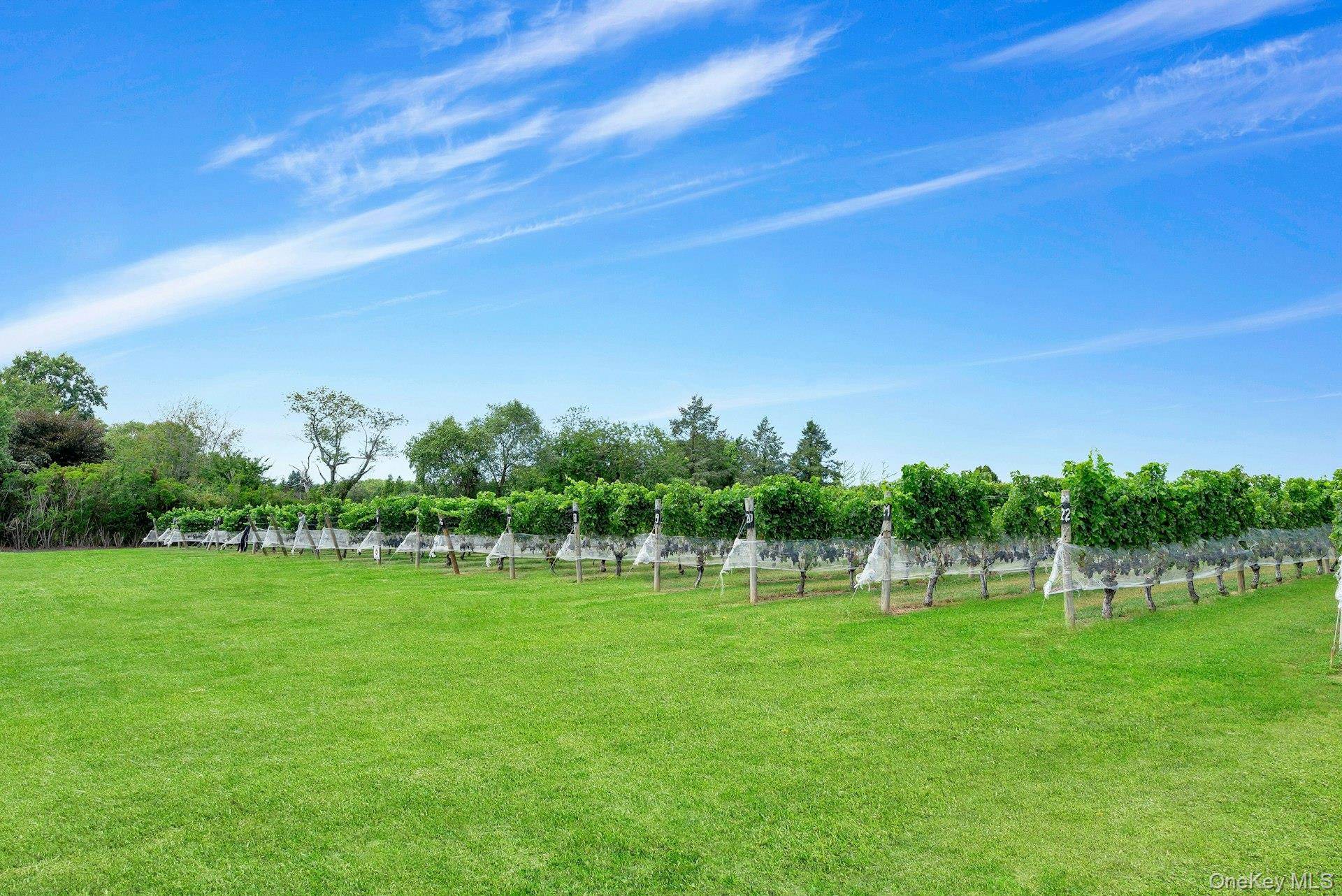 Peconic, NY 11971,44075 Route 25