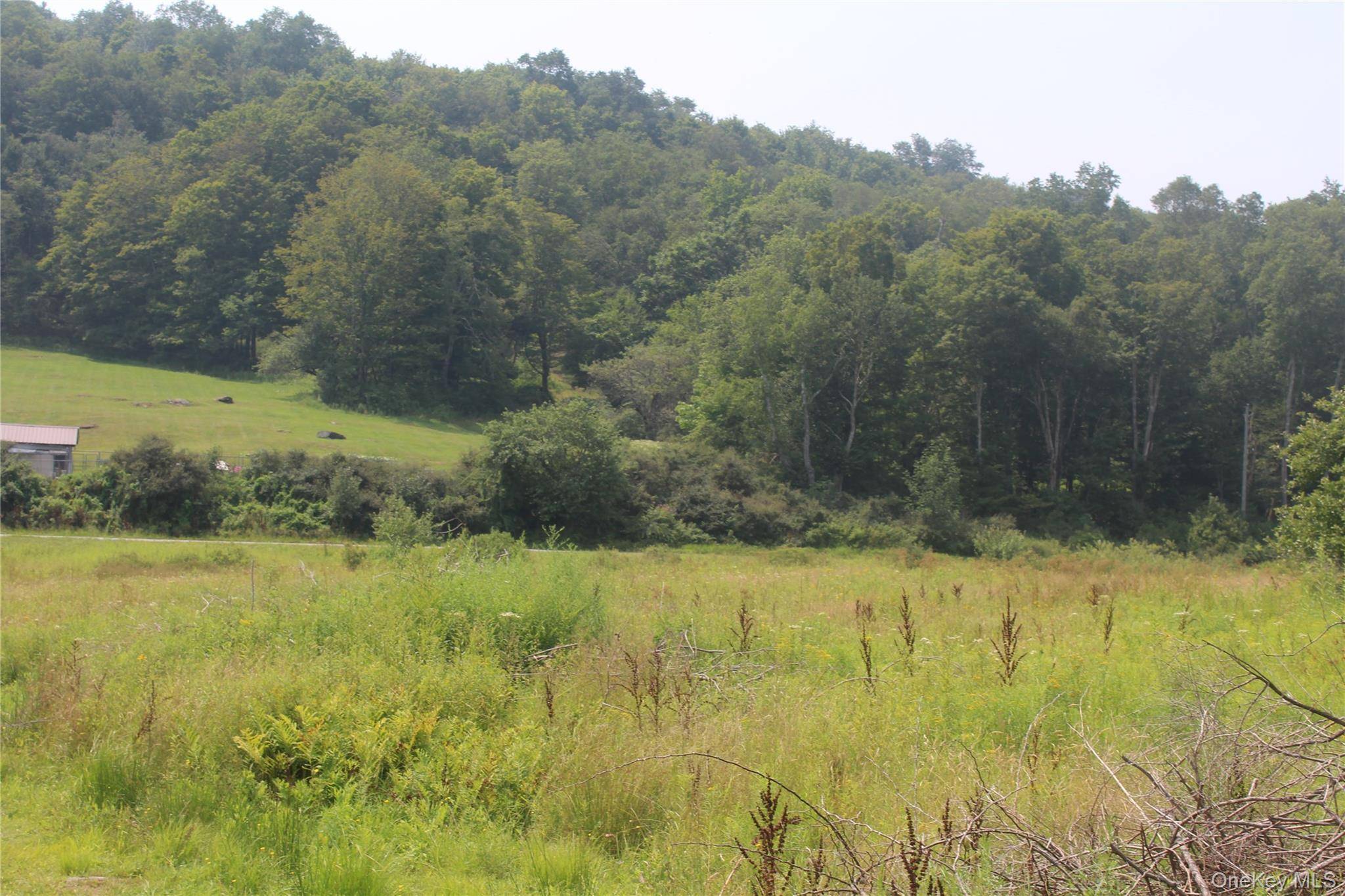 Call Listing Agent, NY 12776,Dutch Hill