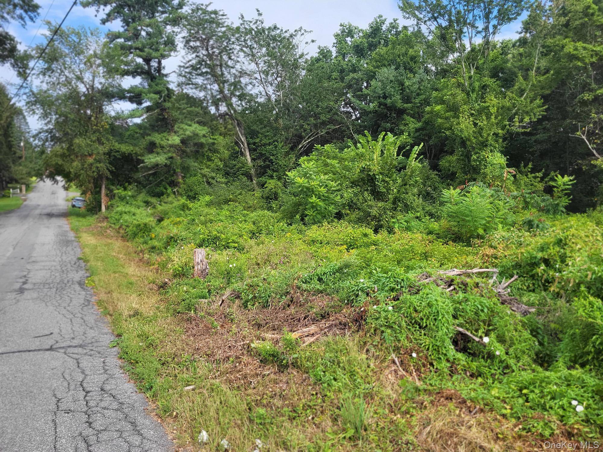 Wallkill, NY 12589,W NYS RTE 208 Highway (Bona Ventura) AVE