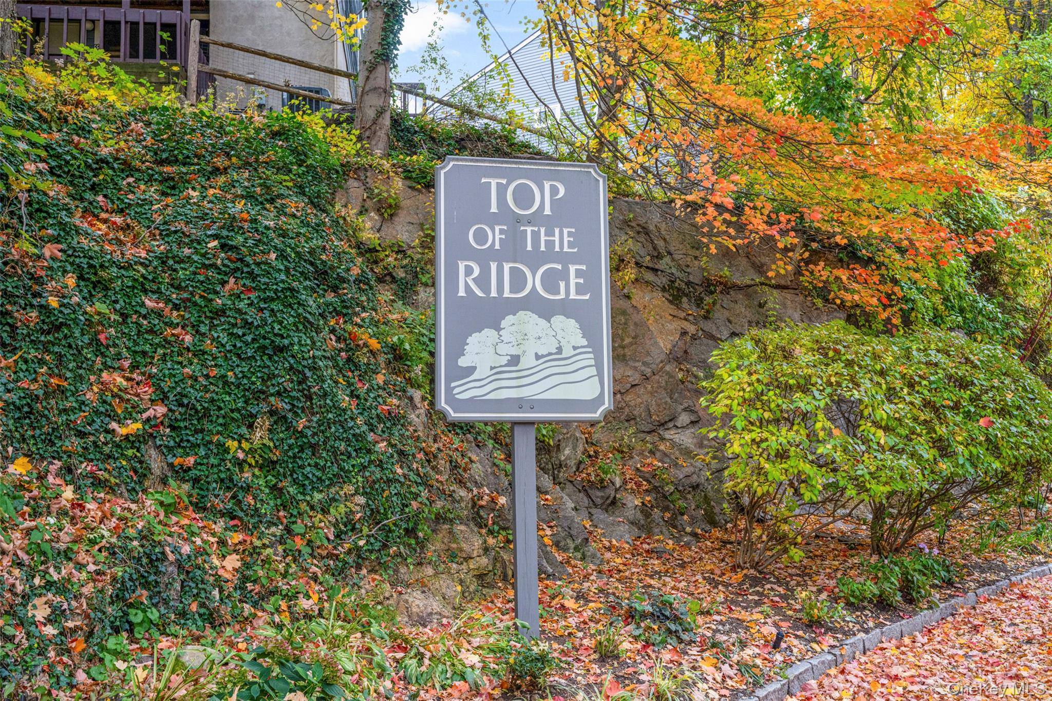 Mamaroneck, NY 10543,3 Top Of The RDG #B2