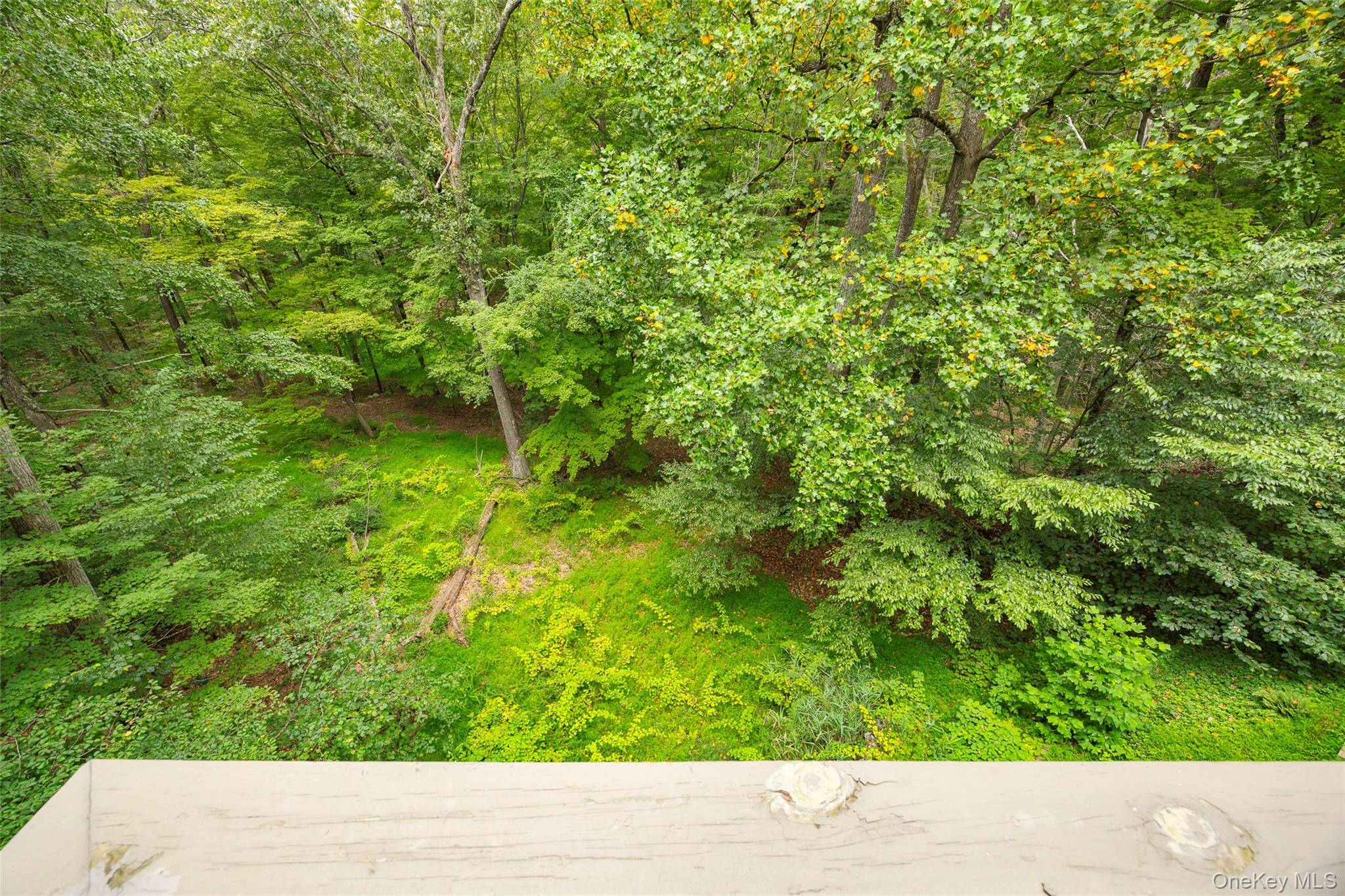 Pound Ridge, NY 10576,51 Major Lockwood LN