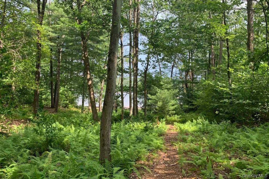 White Lake, NY 12720,Lot 23 Woodstone Trail