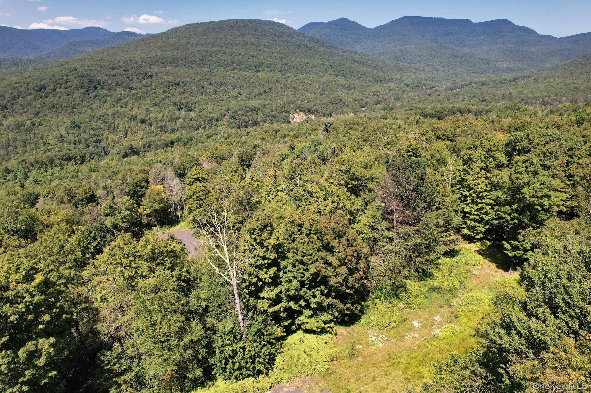 Bearsville, NY 12409,TBD MacDaniel RD