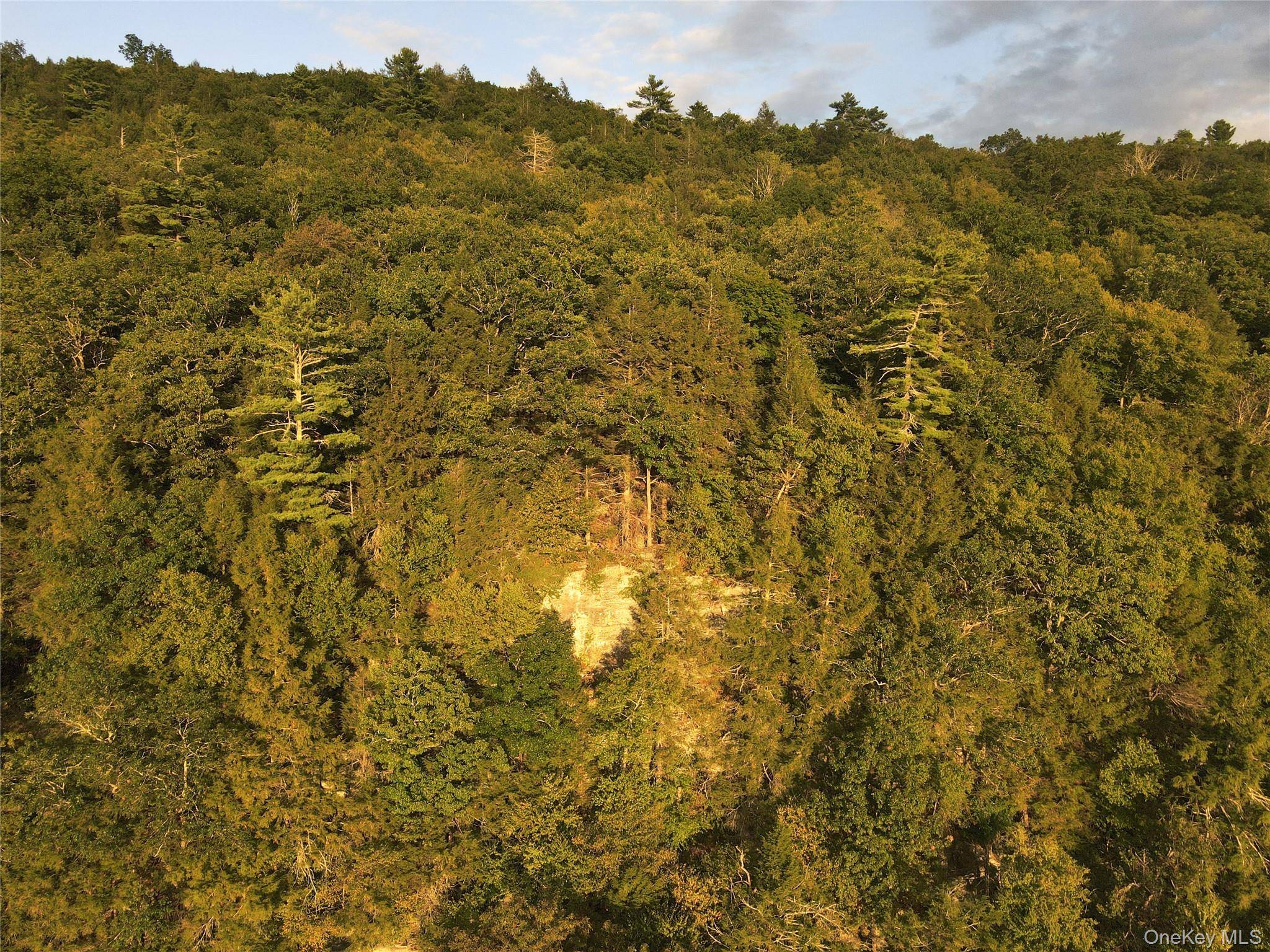 Barryville, NY 12719,Zane Grey Way