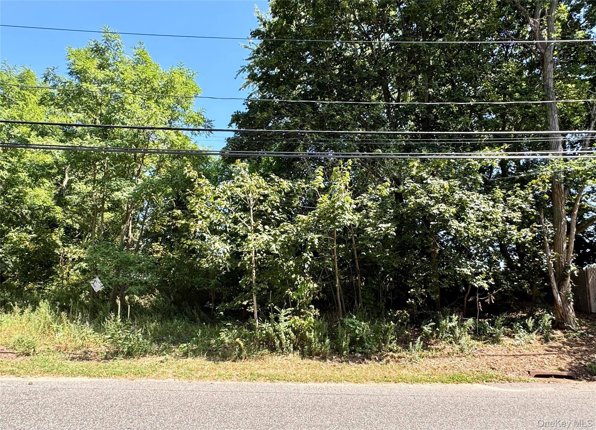 Medford, NY 11763,#189,#191 Mount Vernon Avenue