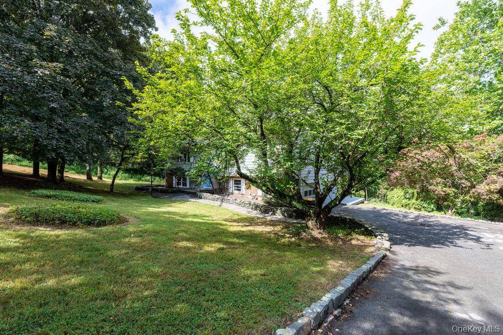 Warwick, NY 10990,43 Points Of VW