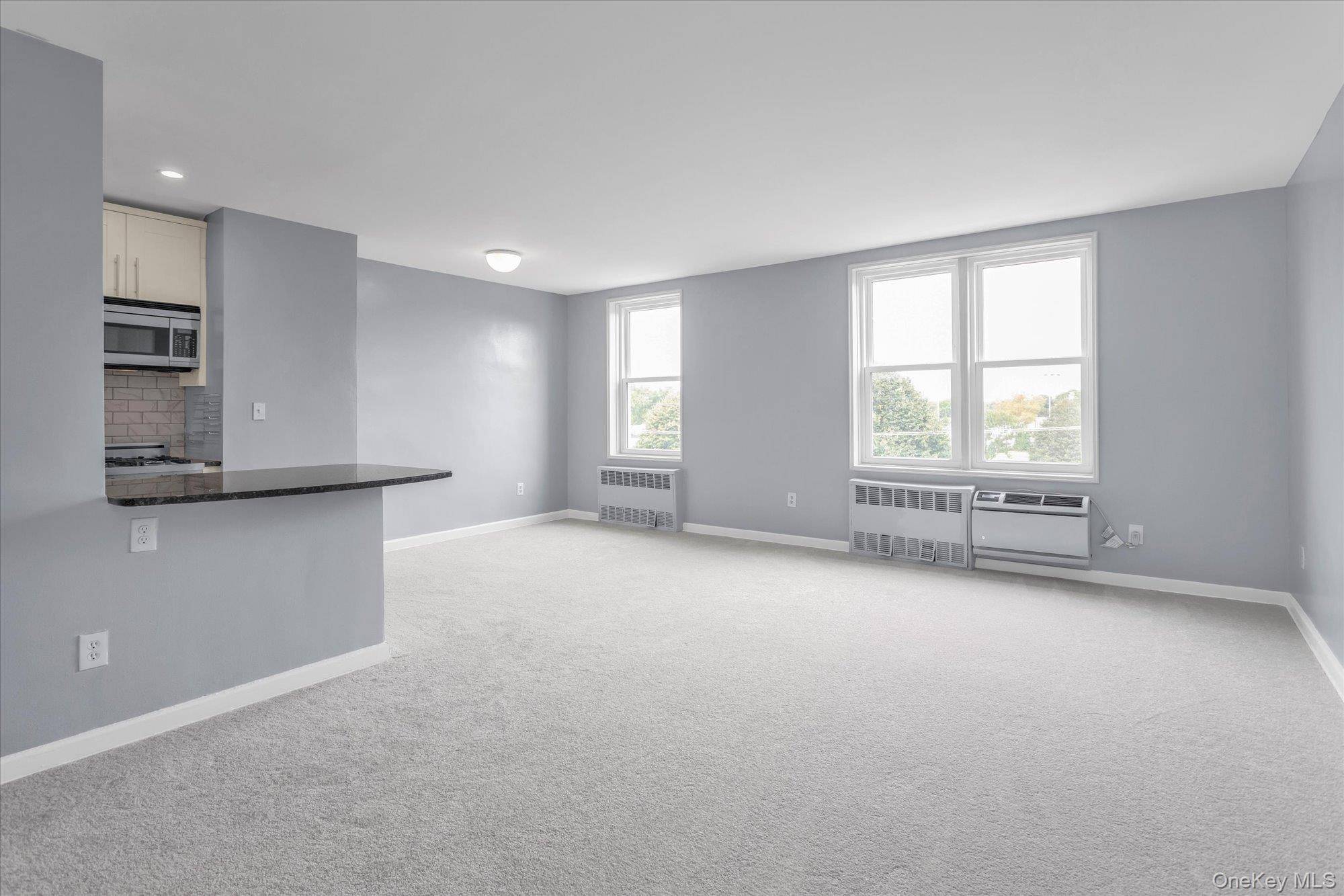 Lynbrook, NY 11563,504 Merrick RD #4J