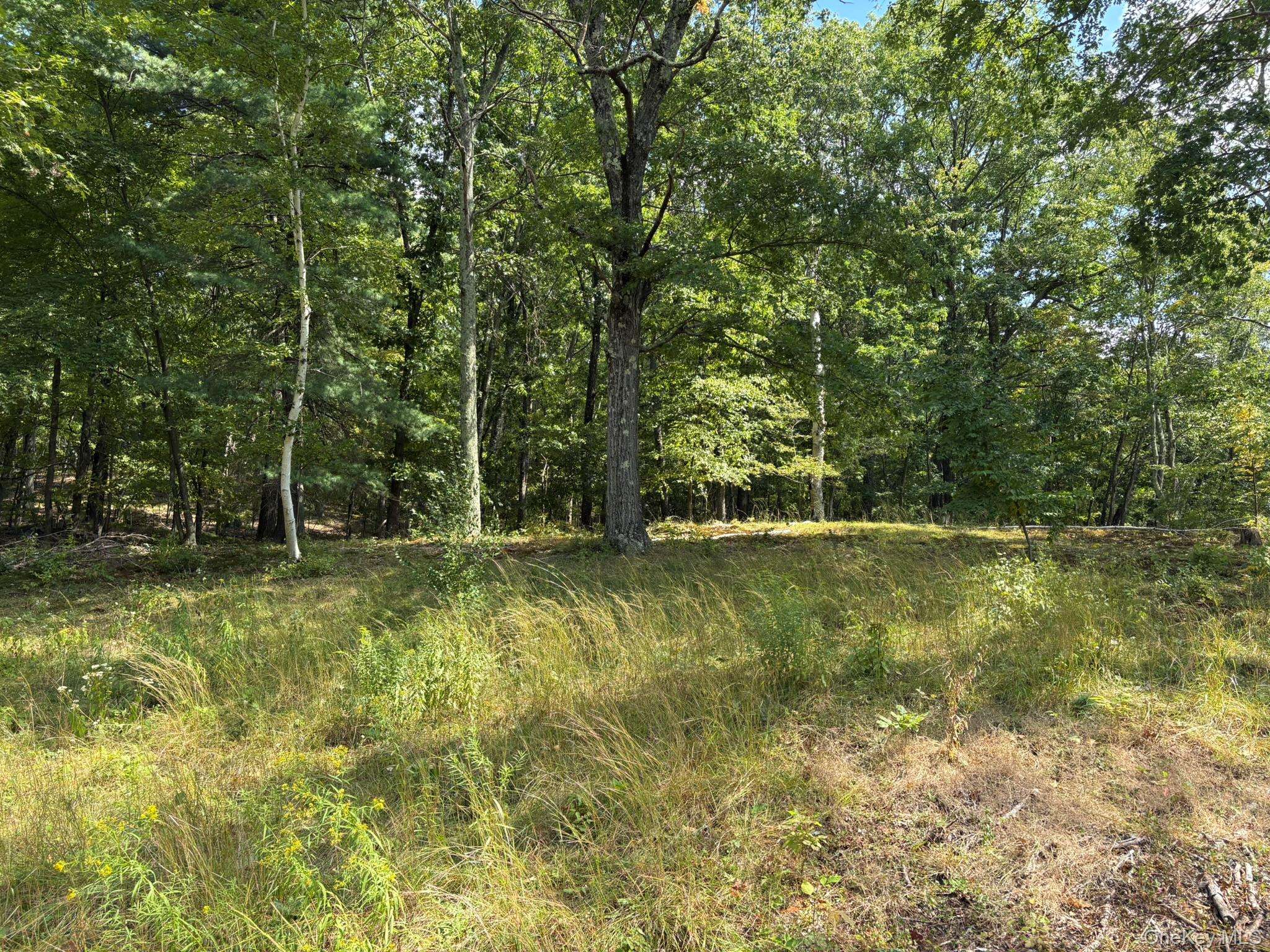 Ancram, NY 12502,42 E Pond Lilly RD