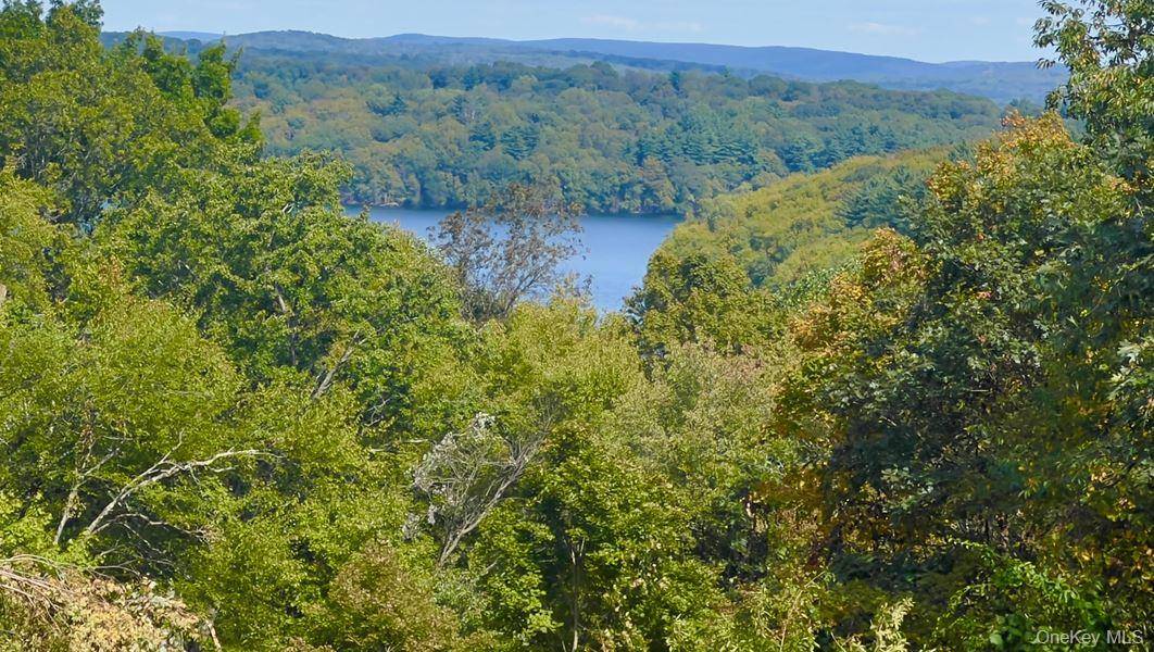 Carmel, NY 10512,33 Raspberry LN